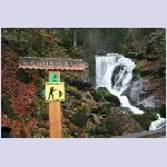 2008-10_48 Triberger falls.JPG